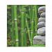 Zen Garden Meditation Monk Stones Bamboo Rest Notepad