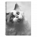 Black And White Kitten Portrait Notebook