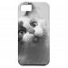 Black And White Kitten Portrait Iphone Se/5/5s Case