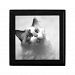 Black And White Kitten Portrait Gift Box