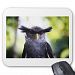 Owl Mouse Pad
