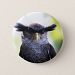 Owl Pinback Button