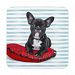 French Bulldog Puppy Portrait Beverage Coaster