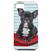 French Bulldog Puppy Portrait Iphone Se/5/5s Case