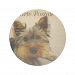 Yorkshire Terrier Dog Coaster