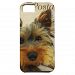 Yorkshire Terrier Dog Iphone Se/5/5s Case