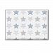 Parklon Twinkle Star Sillky Playmat - Delivery (within 7 days) (270(W) x 140(H) x 1.6(T) cm)