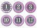 Sticky Bellies Baby Month Stickers - Patterned Princess 1-12 months by Sticky Bellies