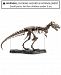 Discovery Kids 60-Pc. T-Rex 3-d Skeleton Puzzle.