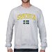 Sweden MyCountry Vintage Fleece Crewneck Sweatshirt (Sport Gray)