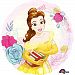 Anagram Beauty And The Beast 18 Inch Circle Foil Balloon (One Size) (Multicolored)