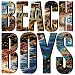 The Beach Boys (Vinyl)