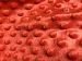 HomeBuy Supersoft Dimple Dot Cuddle Soft Fleece Plush Velboa Fabric - 150Cm Wide - 6 Colours To Choose (Carrot Red)