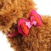 Cute Double Bowknot Adjustable Pet Collars - Hot Pink / M