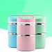 GreenSun(TM) DUOLVQI Stainless Steel Portable Cute Mini Thermal Lunch Boxs For Kids Picnic Bento Box Leak-Proof Container For Food Storage