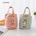 GreenSun(TM) Portable Lunch Bag Canvas Insulated Cooler Bags Thermal Food Picnic Lunch Bags Kids Lunch Box Bag Tote