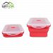GreenSun(TM) Lunch Boxes Travel Plastic Food Container Storage Microwave Bento Box Lunchbox For Kids School Picnic
