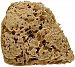 COSE DELLA NATURA - Washed Honeycomb Sea Sponge - 100% Organic - Hypoallergenic - Suitable for Adults and Children