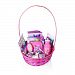 Disney Frozen Sofia The First Baby Girl Gift Basket, 20+ Piece Bundle Filled Basket of Fun Gift Set (3-10 Years Old Girls), Perfect for Birthdays, Easter, Christmas, Get Well, or Other Occasion!