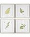 Uttermost Watercolor Leaf Study 4-Pc. Printed Wall Art Set