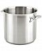 All-Clad Professional 36-Qt. Stainless Steel Stockpot