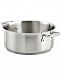 All-Clad Professional 16-Qt. Stainless Steel Rondeau