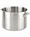 All-Clad Professional 75-Qt. Stainless Steel Stockpot