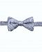 Ryan Seacrest Distinction Men's Wakeview Paisley Pre-Tied Bow Tie, Created for Macy's