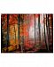 Philippe Sainte-Laudy 'Wildly Red' 22" x 32" Canvas Wall Art