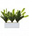 Nearly Natural Cactus Artificial Plant in Rectangular Planter