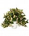 Nearly Natural Hoya Artificial Plant in White Ceramic Vase
