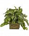 Nearly Natural Nephthytis Artificial Plant in Rustic Wood Box Planter