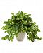 Nearly Natural Nephthytis Artificial Plant in White Planter