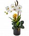 Nearly Natural Orchid and Bromeliad Artificial Arrangement in Glossy Black Cylinder Vase