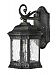 1720BG - Hinkley Lighting - Regal Cast Outdoor Lantern Fixture Black Granite - Water Seedy Glass Panels - Regal