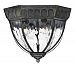 1713BG - Hinkley Lighting - Regal Cast Outdoor Lantern Fixture Black Granite - Water Seedy Glass Panels - Regal