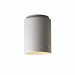 CER-6105W-SLHY - Justice Design - Flush-mount Cylinder W/ Perfs Outdoor Harvest Yellow Slate Finish (Textured Faux)Textured Faux - Radiance