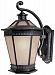 9798-68 - Dolan Lighting - Vintage - One Light Outdoor Wall Lantern Winchester - Vintage