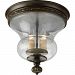 P3815-77 - Progress Lighting - Fiorentino - Two Light Flush Mount Forged Bronze Finish with Frosted Nutmeg Glass - Fiorentino