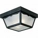 P5745-31 - Progress Lighting - Two Light Outdoor Flush Mount Black Finish with White Acrylic Glass - Americana