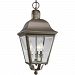P5587-20 - Progress Lighting - Andover - Three Light Outdoor Hanging Lantern Antique Bronze Finish with Clear Beveled Glass - Andover