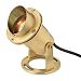 1539BS - Hinkley Lighting - Low Voltage One Light Outdoor Spot Lamp Brass - Landscape Accent