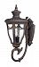 60/2041 - Nuvo Lighting - Philippe - Three Light Large Outdoor Wall Lantern Belgium Bronze Finish with Clear Seeded Shade - Philippe