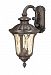 60/2001 - Nuvo Lighting - Beaumont - Three Light Large Outdoor Wall Lantern Fruitwood Finish with Amber Water Shade - Beaumont