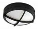 60/2543 - Nuvo Lighting - Hudson - Two Light Round Wall - Ceiling Fixture Matte Black Finish with White Lexan Shade - Hudson