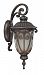 60/3924 - Nuvo Lighting - Corniche - One Light Mid - Size Outdoor Wall Sconce Burlwood Finish with Clear Seeded Shade - Corniche