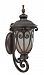 60/3921 - Nuvo Lighting - Corniche - One Light Large Outdoor Wall Sconce Burlwood Finish with Clear Seeded Shade - Corniche