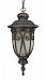 60/3928 - Nuvo Lighting - Corniche - One Light Outdoor Hanging Lantern Burlwood Finish with Clear Seeded Shade - Corniche