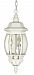 60/894 - Nuvo Lighting - Central Park - Three Light Outdoor Hanging Lantern White Finish with Clear Beveled Panel Shade - Central Park