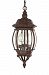 60/895 - Nuvo Lighting - Central Park - Three Light Outdoor Hanging Lantern Old Bronze Finish with Clear Beveled Panel Shade - Central Park